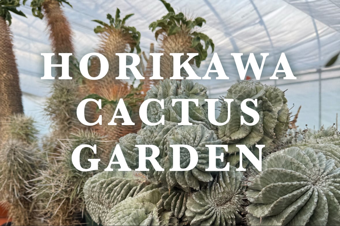 HOIKAWA CACTUS GARDEN