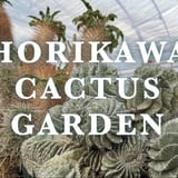 HOIKAWA CACTUS  GARDEN