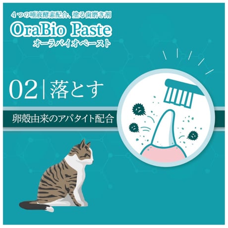 オーラバイオ ペーストPRO 50ｇ [無香料] OraBio