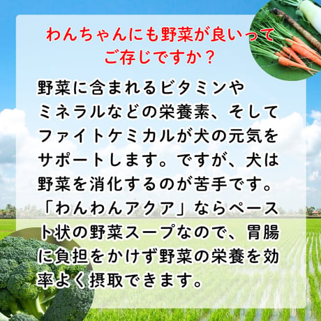 愛犬用野菜スープ　にんじんとごまと野菜のポタージュ　いつものご飯にわんプラスープ