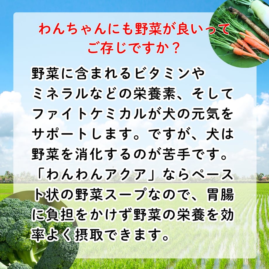 6a21094a42133e07735da4cc