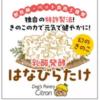 乳酸発酵はなびらたけパウダー