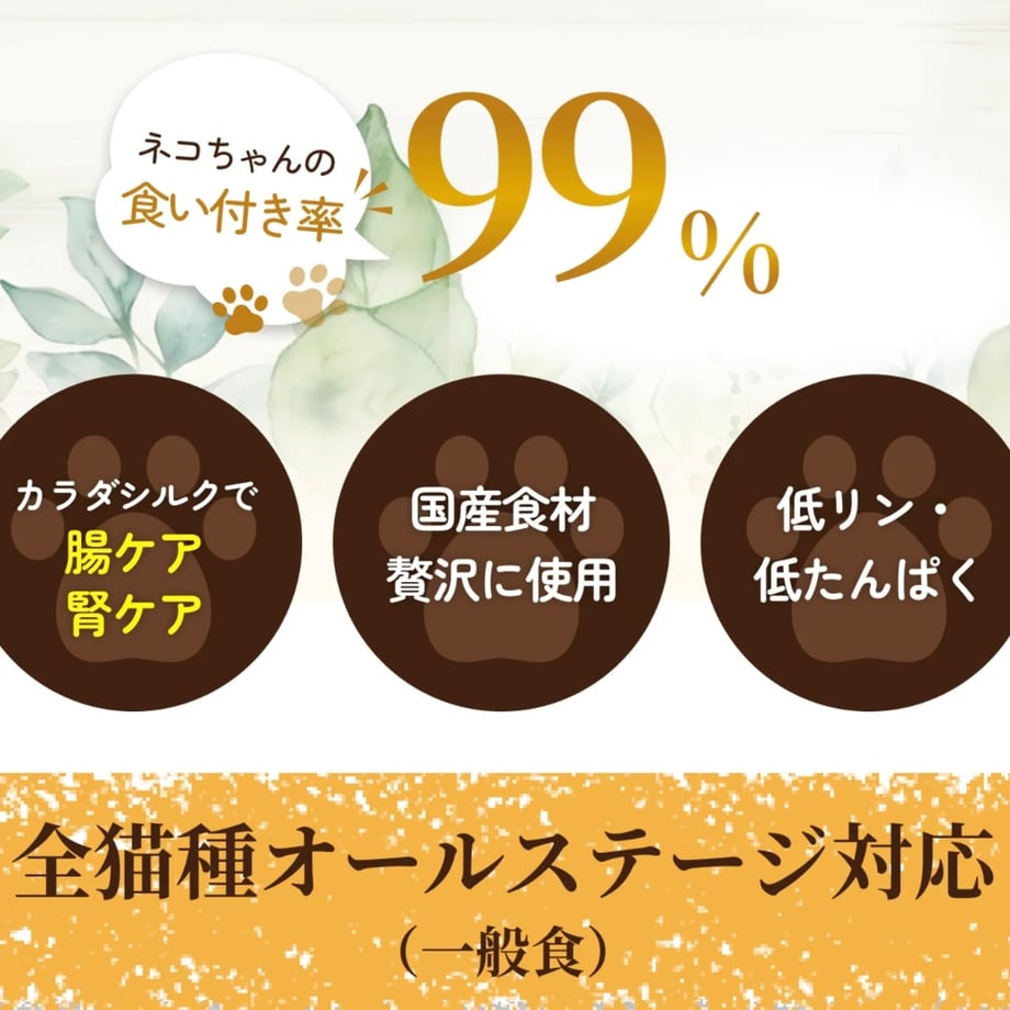 6a17c77fb776cf78f8bd3645