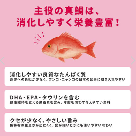 ジュレ (真鯛)  カルワン・カルニャン