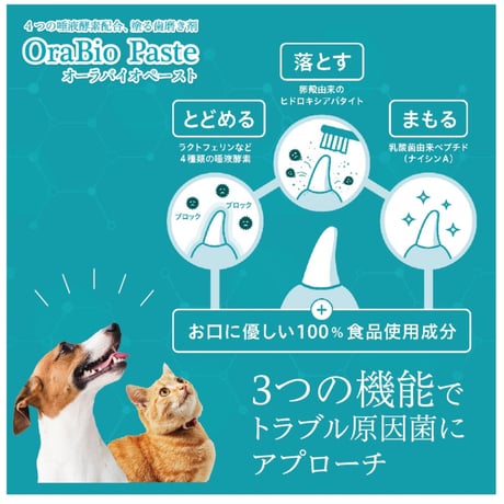 オーラバイオ ペーストPRO 50ｇ [無香料] OraBio