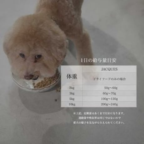 JACQUES【ジャック】フィッシュ