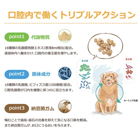 口臭予防に！プレミール　デンタルコート