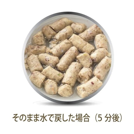 K9 チキン・フィースト