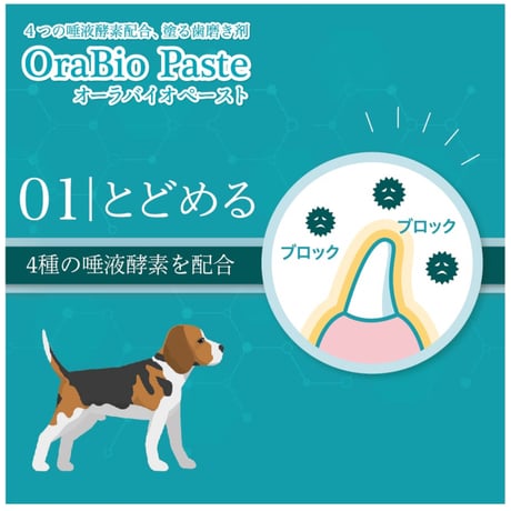 オーラバイオ ペーストPRO 50ｇ [無香料] OraBio