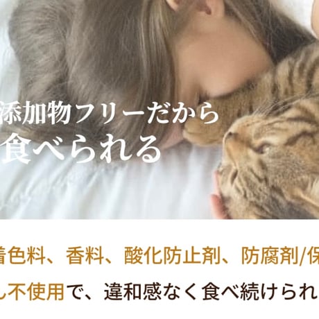 SILKFULL プレミアムウェットフード（チキン味） – 愛猫の腎臓と健康を守る、おいしいケアフード