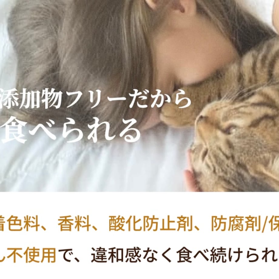 6a17c77fb776cf78f8bd3645