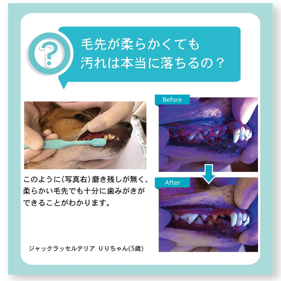677d3e82c232b00d20b0dc66