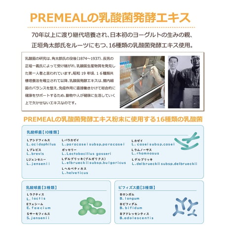 口臭予防に！プレミール　デンタルコート