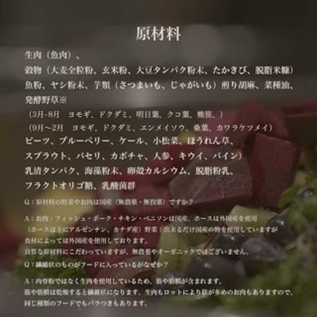 JACQUES【ジャック】フィッシュ