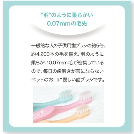 歯ブラシ　中毛　Ora Bio オーラバイオ
