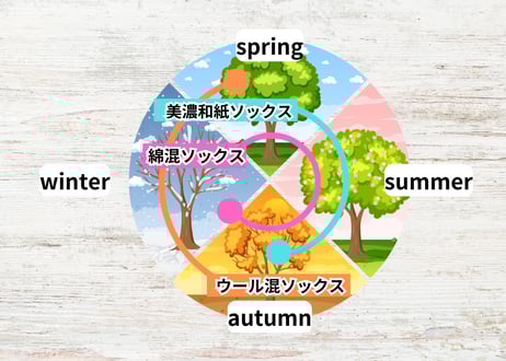 (25.0～27.0cm) 姿勢と歩行　見守りソックス定期便
