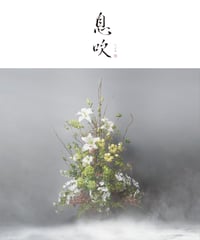 伊吹　【いぶき】