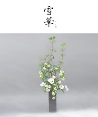 雪華　【せっか】