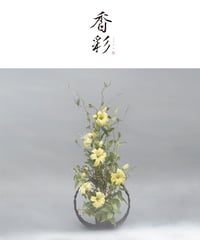 香彩　【こうさい】