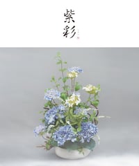 紫彩　【しさい】