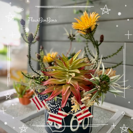 グリーンアレンジメント | STORES