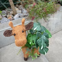 このかわいさにギブです💖ポリンくん  ※税込、箱 梱包緩衝材込、送料込