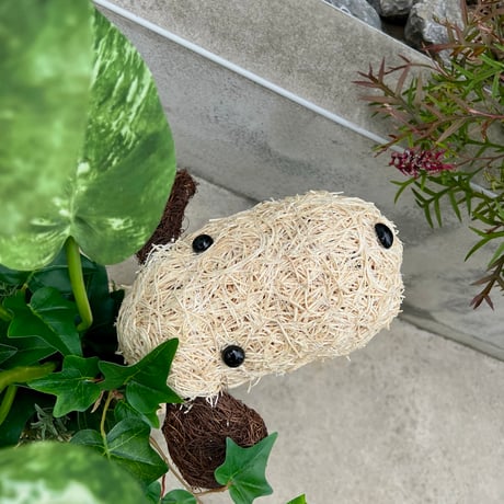 なになにおしゃんぽ？のイヌッピー  ※税込, 送料込, 箱 梱包緩衝材込