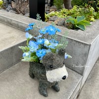 おしゃんぽッ⁉︎ ぼくもいくッ❣️ のシュナウプ  ※税込, 送料込, 箱 梱包緩衝材込