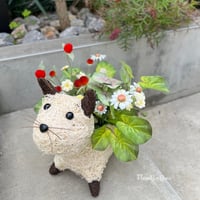 にゃ〜ごにゃ〜ご♪ちゅーるちゅーる♪と洗脳してくるタマニャン　※税込, 送料込, 箱 梱包緩衝材