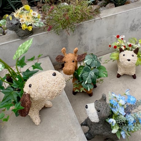 なになにおしゃんぽ？のイヌッピー  ※税込, 送料込, 箱 梱包緩衝材込