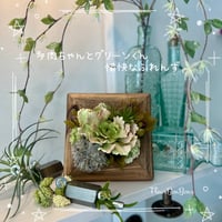 《 絵画のつもりの多肉ちゃん 》※税込､送料込､箱 梱包緩衝材込