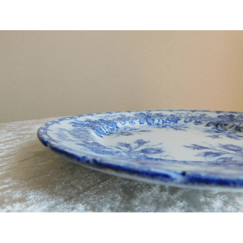 フランス アンティークプレート Creil et Montereau [i005] | sha