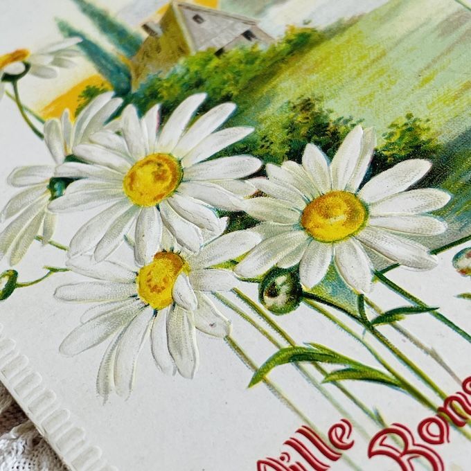 フランス アンティークポストカード 白い花 [s031f] | shanachie