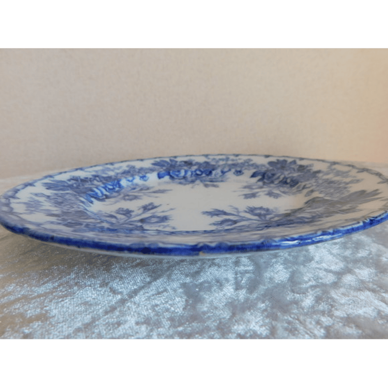 フランス アンティークプレート Creil et Montereau [i027] | sha