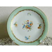 フランス アンティークプレート Saint Amand JARDINIERE [i126]