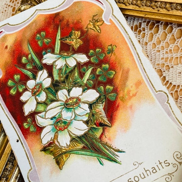 フランス アンティークポストカード 白い花とクローバー 未使用 [s018f