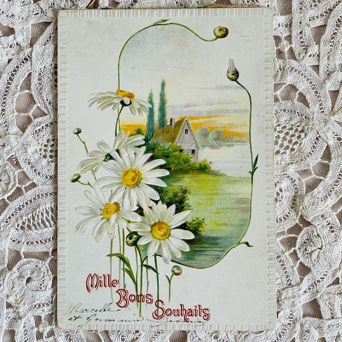 フランス アンティークポストカード 白い花 [s031f] | shanachie