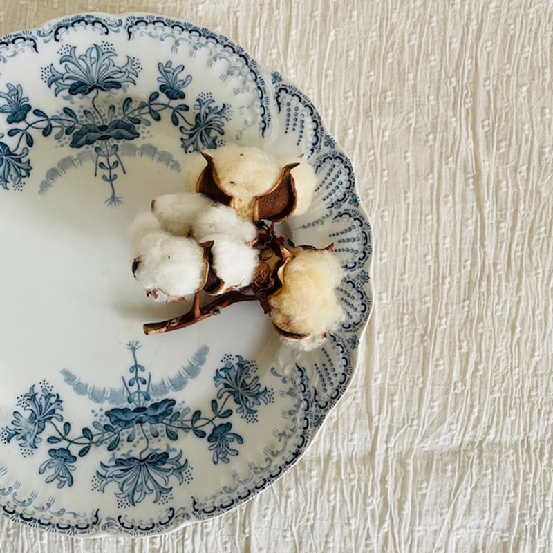 St Amand＊REGENCE＊ディナープレート ２枚セット（A） St Amand＊REGENCE＊ディナープレート 2枚セット（B） 【公式通販】