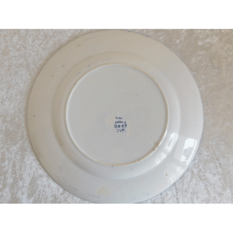 フランス アンティークプレート Creil et Montereau [i027] | sha