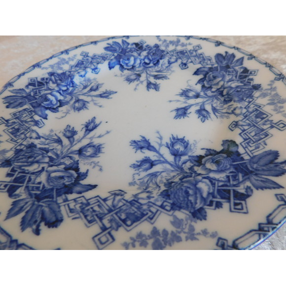 フランス アンティークプレート Creil et Montereau [i027] | sha