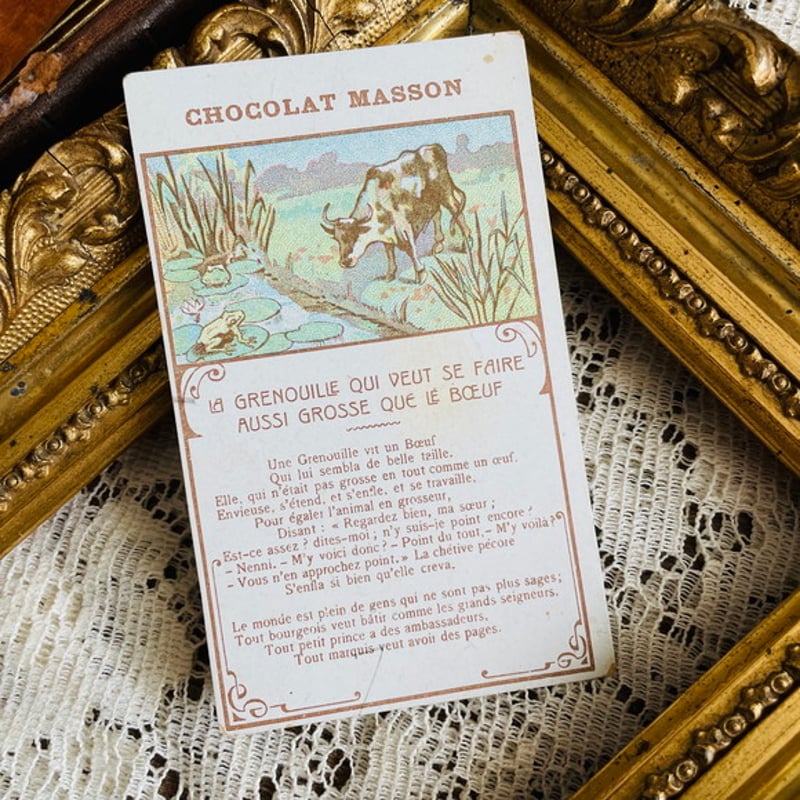 フランスアンティーク クロモス クロモカード 牛とカエル [ch004