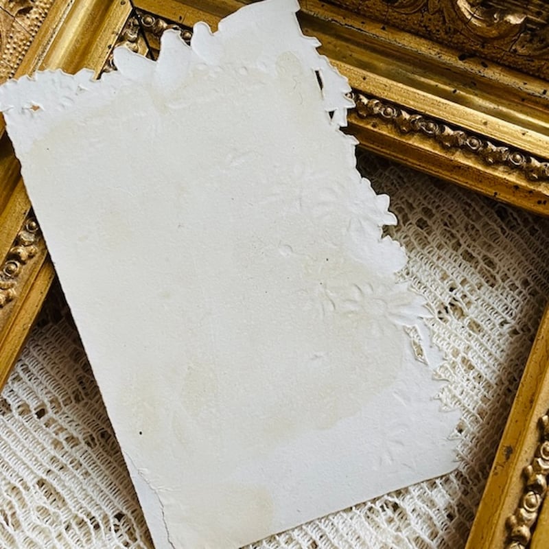 フランスアンティーク クロモス クロモカード CHOCOLAT DEVINCK [ch002-