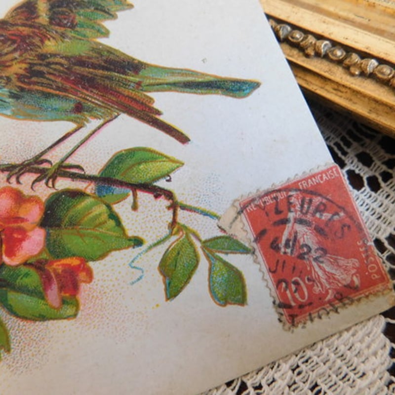 フランス アンティークポストカード 花と鳥と [s063] | shanachie