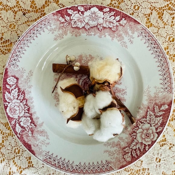 フランス アンティークプレート Saint Amand JARDINIERE [i126]