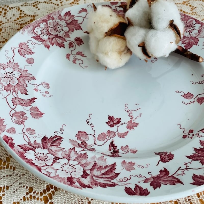 フランスアンティーク サンタマン プレート MARION 赤 [i024] | shanachie