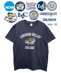 NCAA　Lebanon Valley College　M　グレー　USA古着