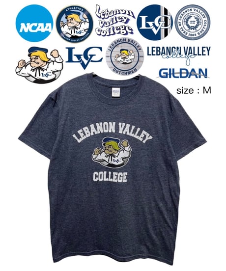 NCAA　Lebanon Valley College　M　グレー　USA古着
