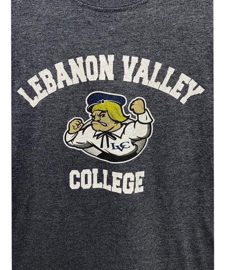 NCAA　Lebanon Valley College　M　グレー　USA古着