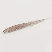 GIMIRA 2.8" - SQUID INK