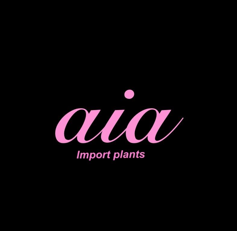 aia